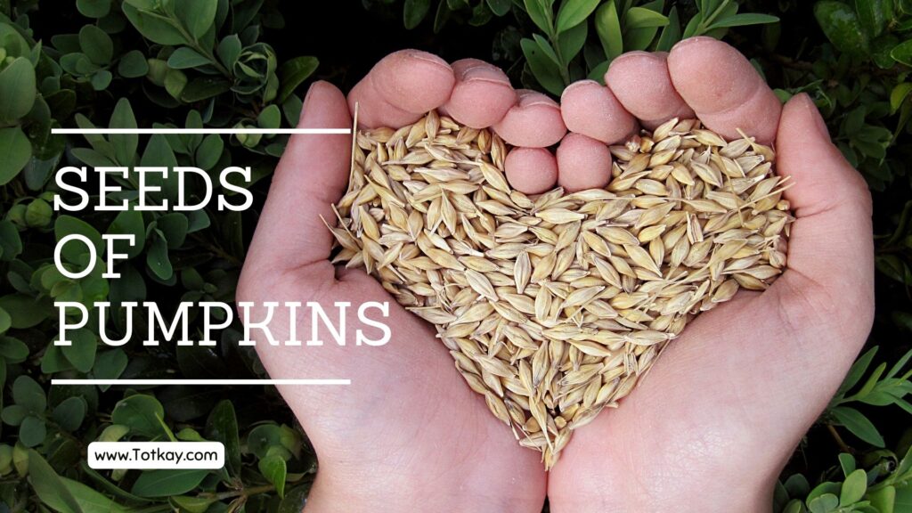 Natural Remedies For Blastocystis Hominis 3 Seeds of pumpkins