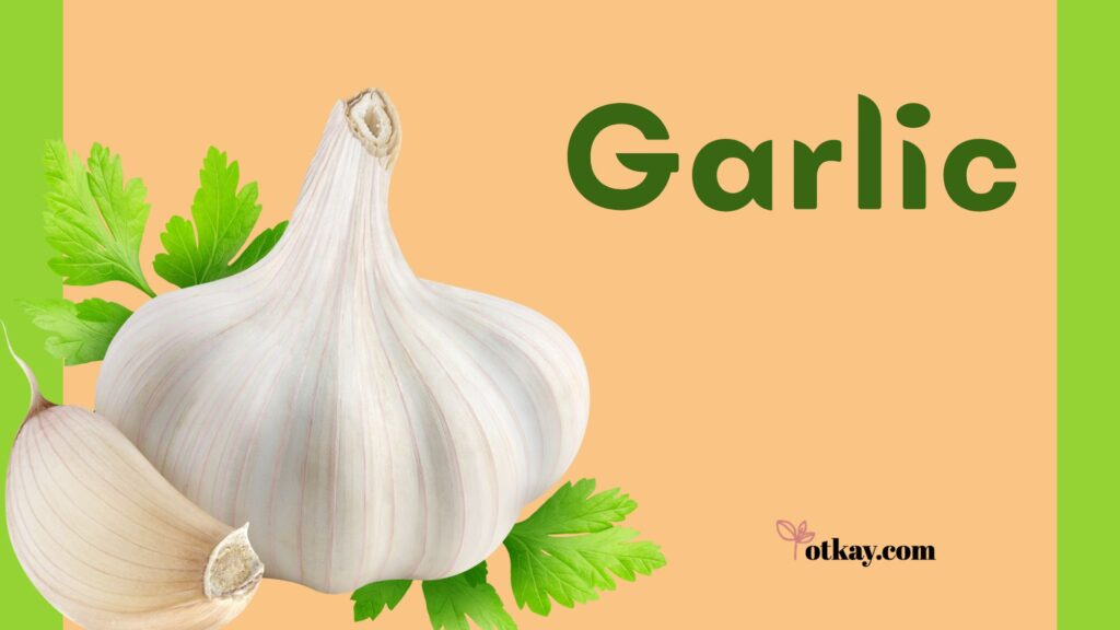 Natural Remedies For Blastocystis Hominis 4 Ginger