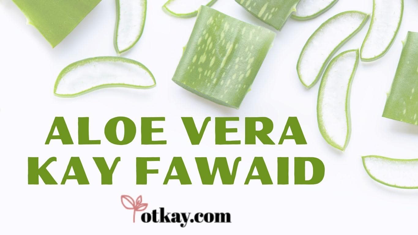 Aloe Vera kay Fawaid