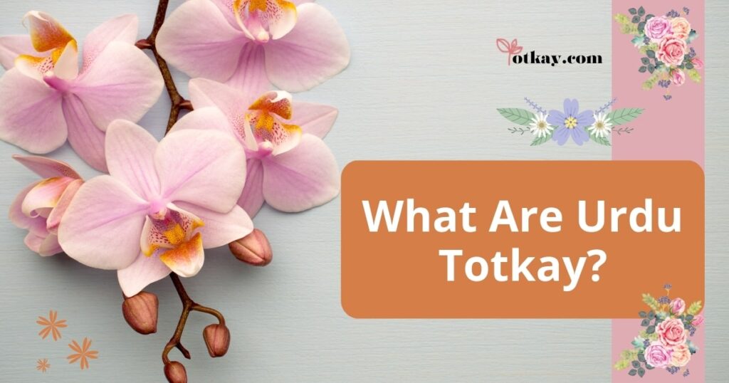 Home Remedies for Health and Beauty: What are Urdu totkay? 3 Urdu totkay