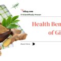 Proven Health Benefits of Ginger