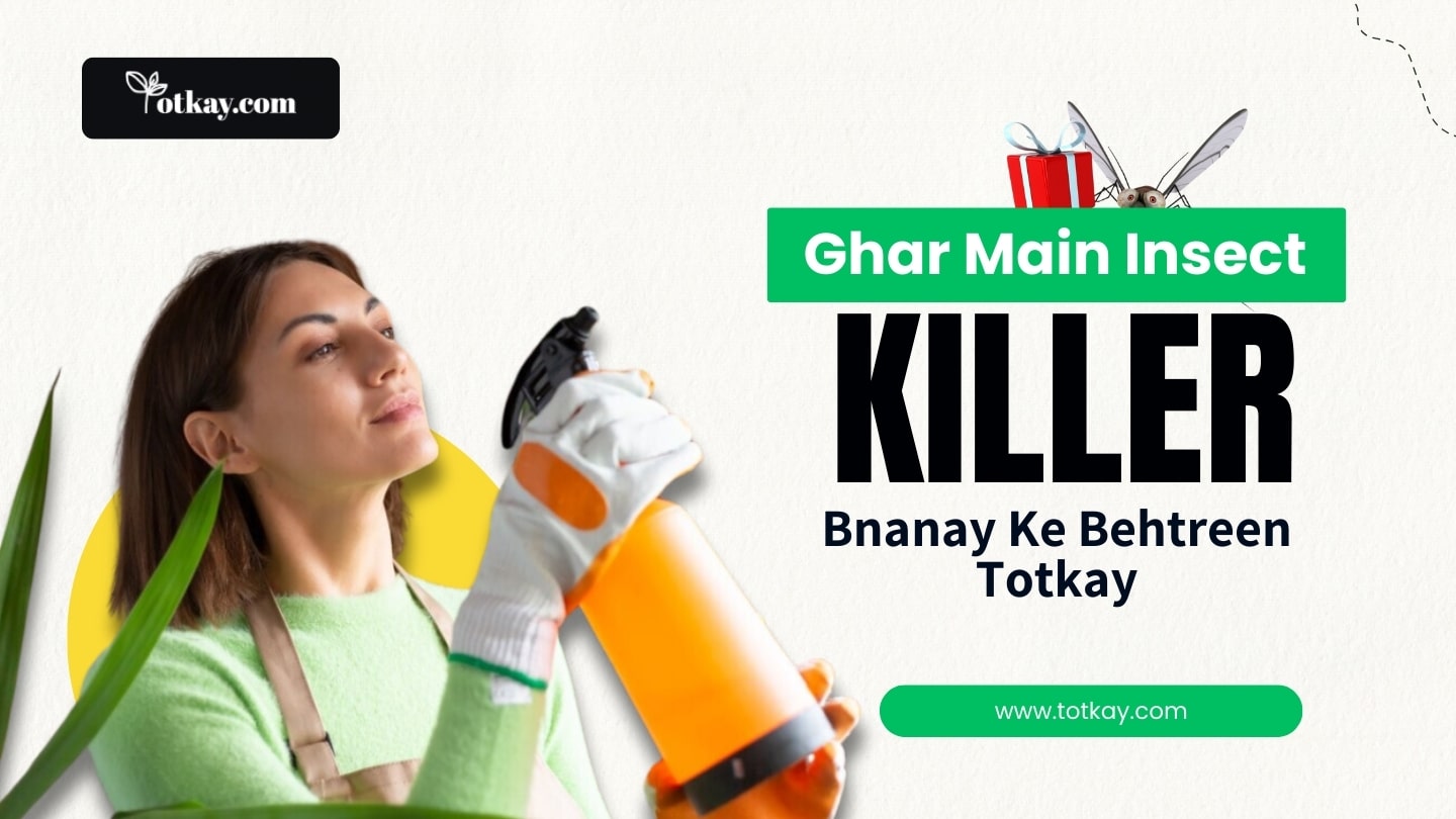 Ghar Main Insect Killer Bnanay Ke Behtreen Totkay