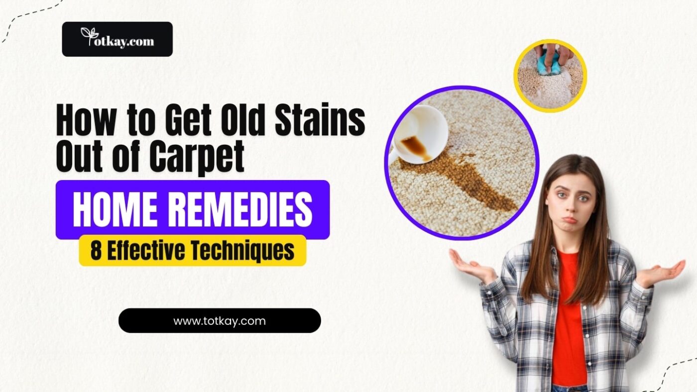 8 Proven Home Remedies to Remove Old Carpet Stains Effectively - Totkay
