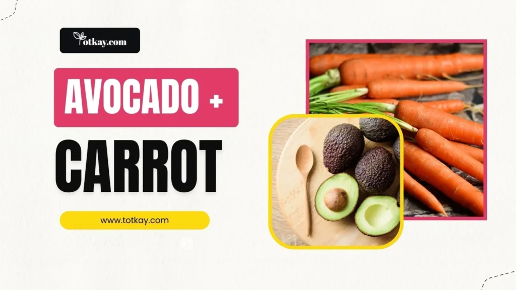 Sliced and whole avocados along with fresh carrots beside text reading "AVOCADO + CARROT".