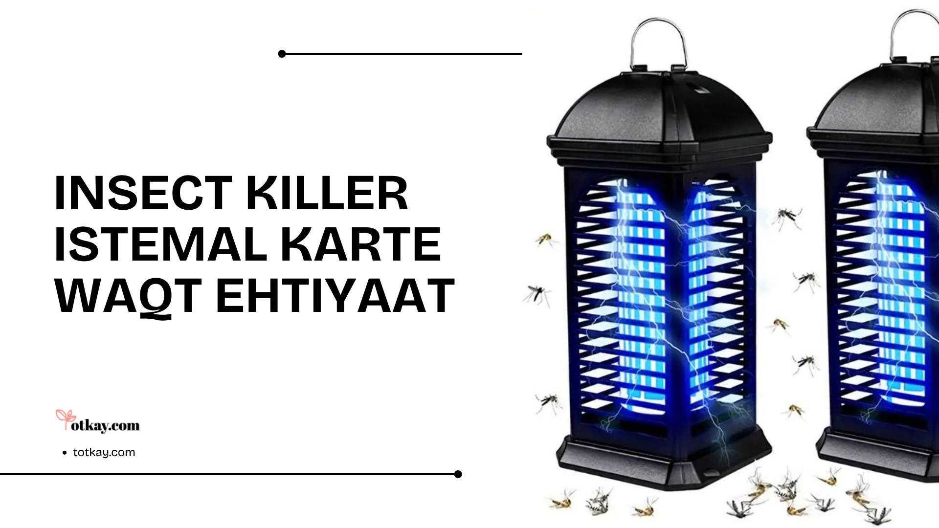 Insect Killer safety guide showing an electric bug zapper with precautions for using insect killers safely at home to control mosquitoes and flying insects.