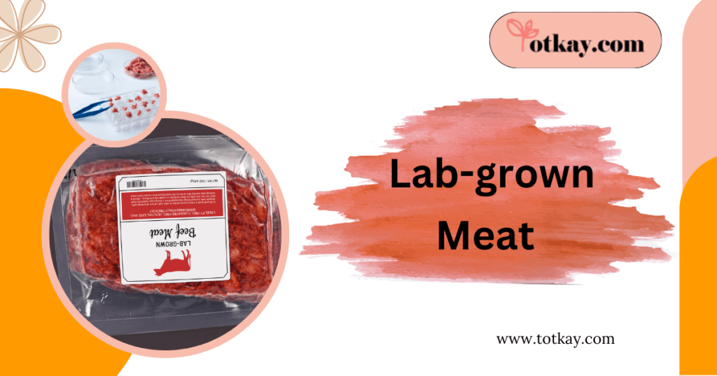 The best and Worst Meat replacements for Your Health, Your Wallet and the Planet 4 Lab-Grown Meat