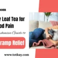 Raspberry Leaf Tea for Period Pain Guide to Natural Cramp Relief - totkay.com