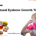 Natural Eyebrow Growth Totkay: 6 Remedies & 4-Week Plan 10 Natural Eyebrow Growth Totkay 6 Remedies 4 Week Plan totkay.com