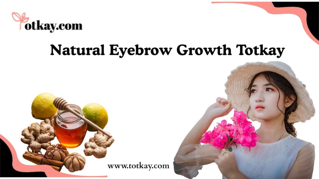 Natural Eyebrow Growth Totkay 6 Remedies 4 Week Plan totkay.com