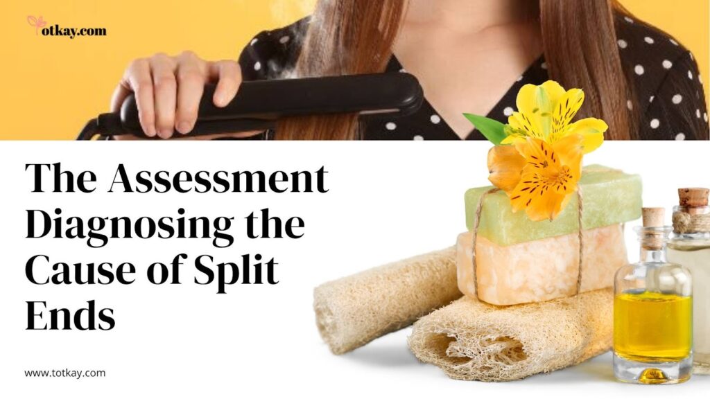 Split Ends Treatment: Instantly Repair and Prevent Damaged Hair 1 image 12