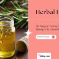 herbal hair oil