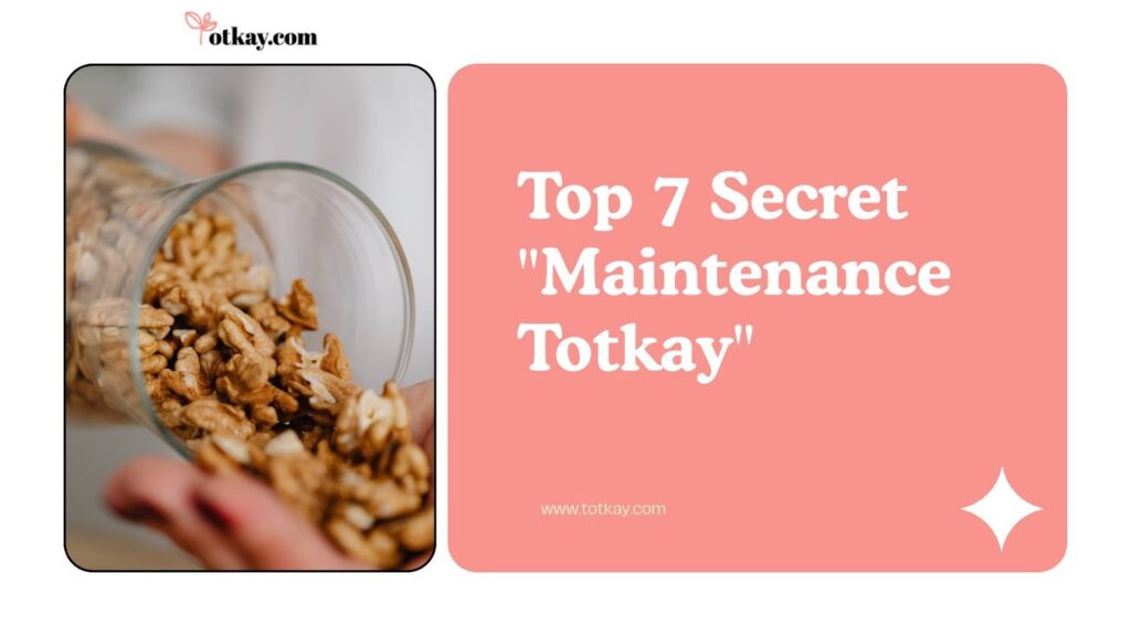 Weight Loss Maintenance: 7 Secrets to Stop Regaining Forever 2 image 26