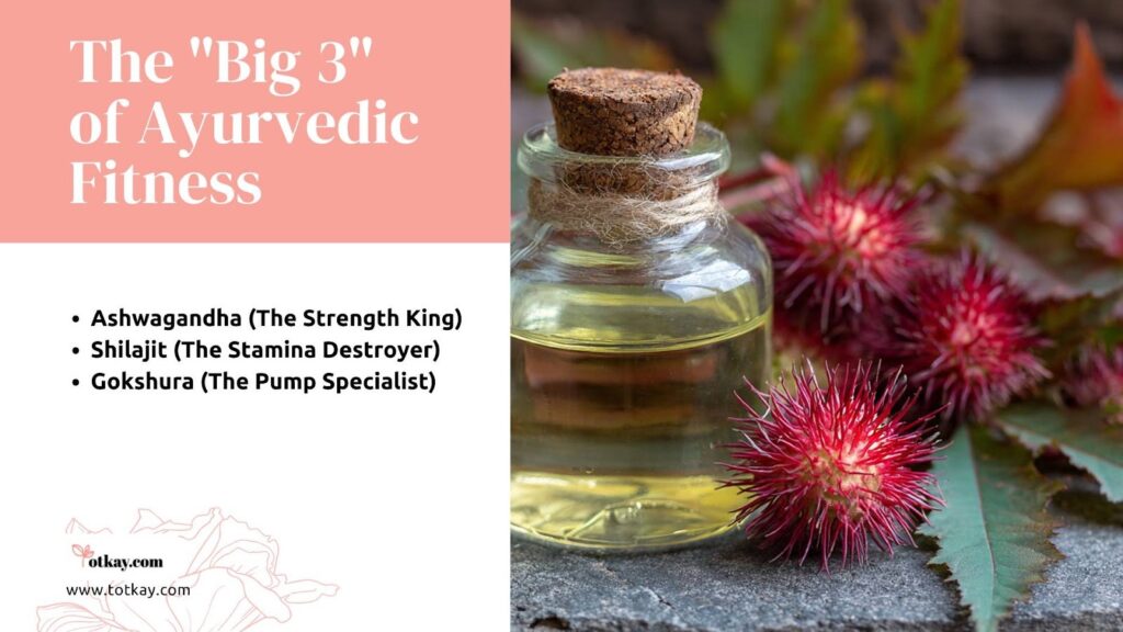 Ayurvedic Herbs for Fitness: The 2026 Guide to Natural Strength 2 image 29