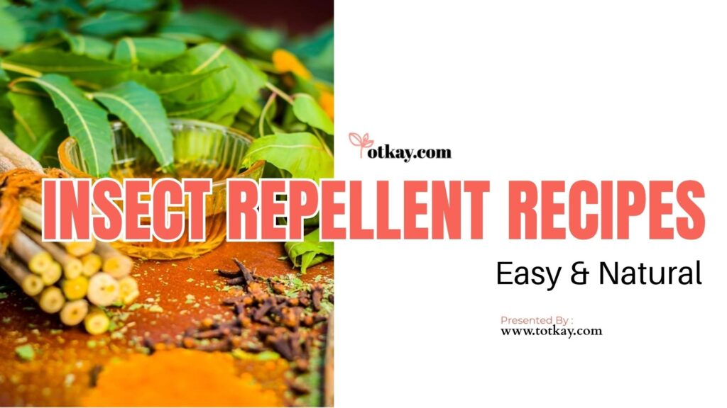 insect repellent recipes