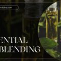 essential oil blends
