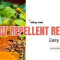 insect repellent recipes