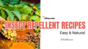 insect repellent recipes