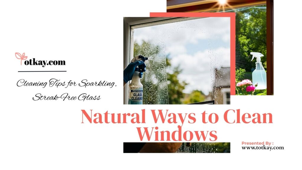 Window Cleaning Tips