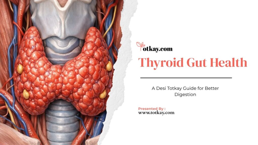 thyroid gut health