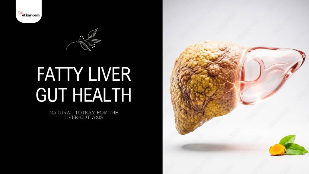 fatty liver gut health
