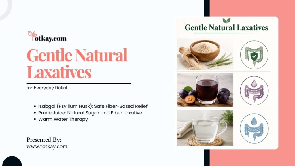 Natural Laxative Totkay: Safe Constipation Relief That Works 2 Infographic listing gentle natural laxatives: Isabgol (psyllium husk), prune juice, and warm water therapy for everyday relief.